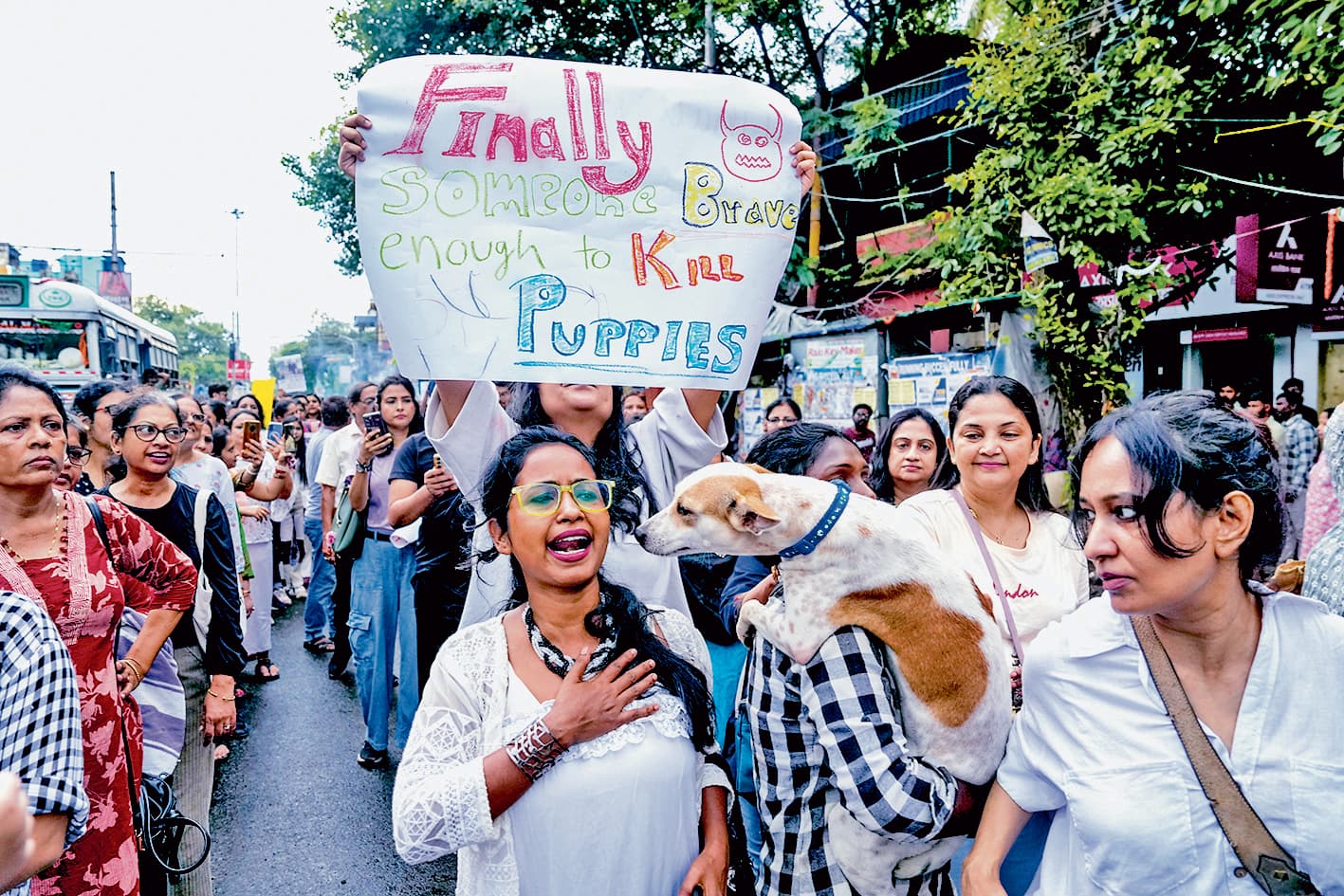 कोलकाता में आवारा कुत्तों के लिए एसओपी तैयार करेगा निगम