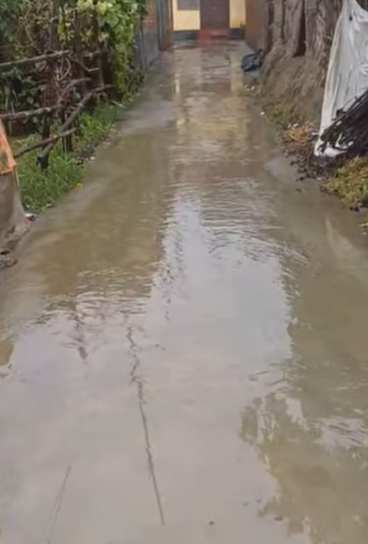 Madhubani : पथराही टोला में जल जमाव से लोग परेशान