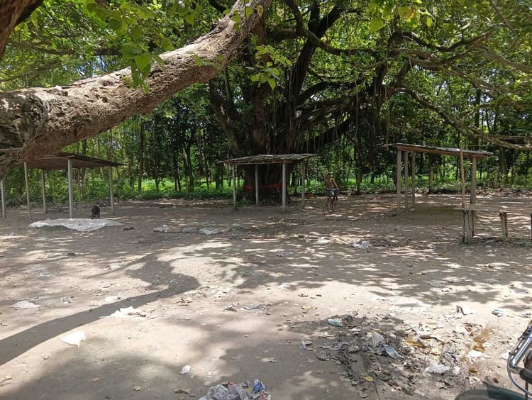 देखरेख के अभाव में विलुप्ति के कगार पर जा रहा ग्रामीण हाट, सुविधाओं का टोटा