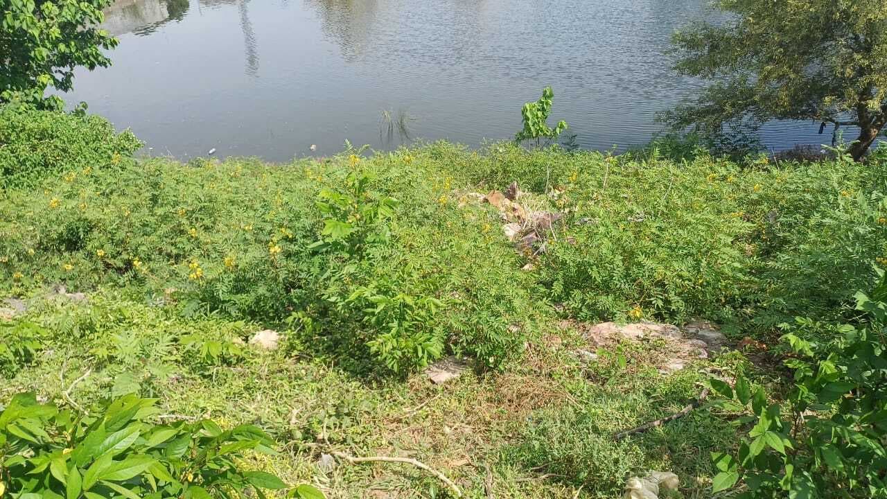 रिंग बांध के अधिग्रहित भूमि का 28 किसानों को अब तक मुआवजा नहीं