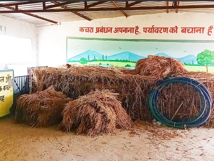 होना था कचरा का प्रसंस्करण, हो रहा पशुओं के चारा का भंडारण