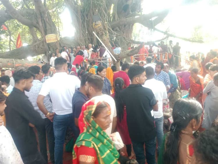 बभनगामा में दुबे बाबा की धूमधाम से हुई वार्षिक पूजा