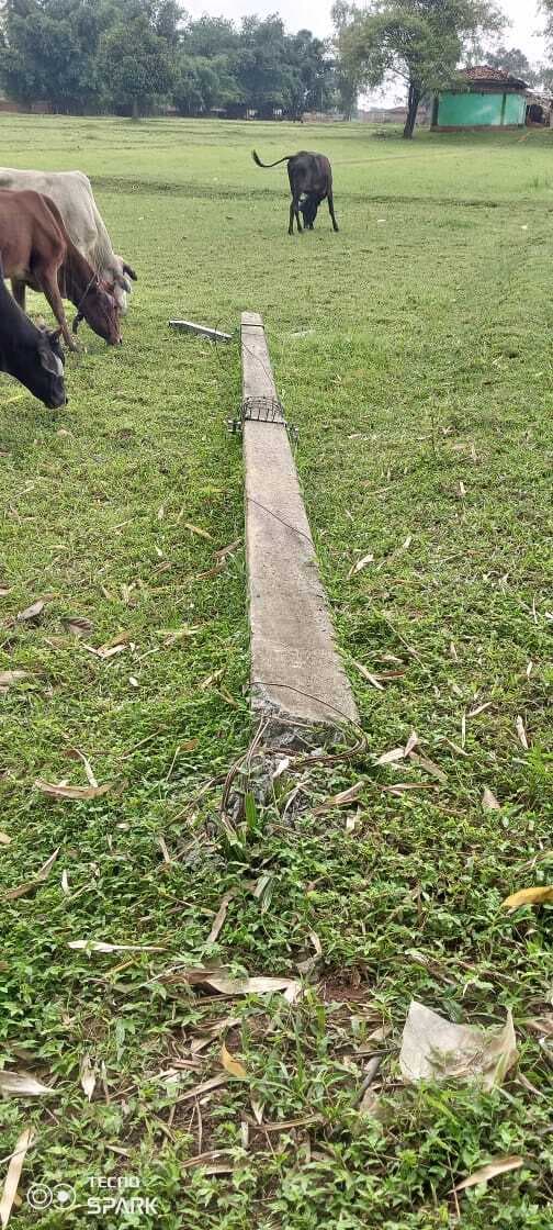 देवीपुर : 11 हजार बिजली तार में फाॅल्ट, बारावां में आपूर्ति ठप