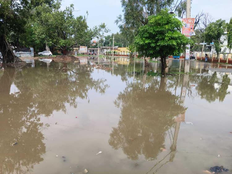 Darbhanga News: देर रात से सुबह तक हुई झमाझम बारिश, जगह-जगह जलजमाव