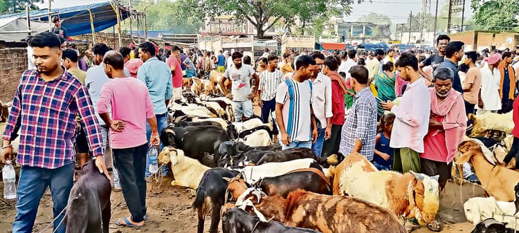 Dhanbad News : बरवापूर्व हटिया में बकरा लूट की अफवाह से अफरातफरी