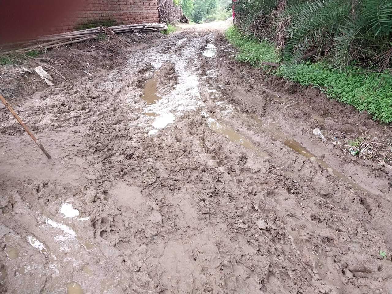 पगडंडी पर जिंदगी की रफ्तार, चलने के लिए दलदल ही नसीब