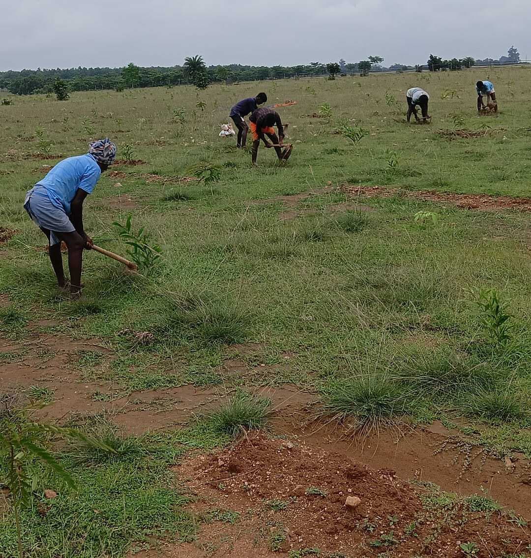 वन रोपण कार्य में लगे मजदूरों को समय पर भुगतान नहीं होने से परेशानी