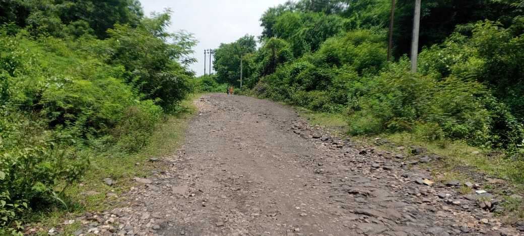 Bokaro News : सुभाषनगर-करगली बाजार सड़क जर्जर, लोग परेशान