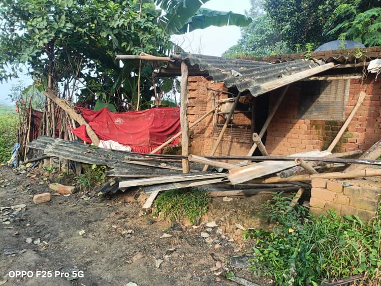 Giridih News: हाथियों ने मचाया उत्पात, घरों को किया क्षतिग्रस्त, फसलों को रौंदा