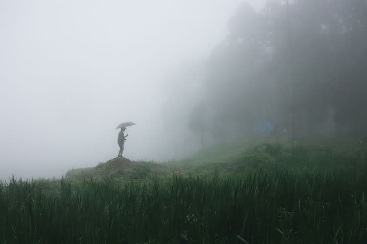 झारखंड का मौसम : 7 अगस्त तक वर्षा से राहत नहीं, कई जिलों में आंधी के साथ वज्रपात का भी अलर्ट