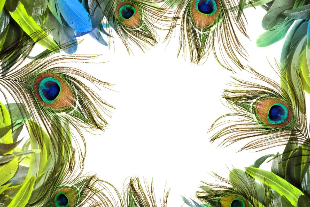 jnmaashtmi unique decoration idea with mor pankh