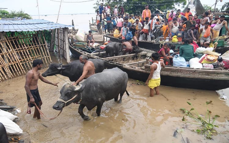 Photos: पटना में बाढ़ से तबाही की तस्वीरें, नाव पर सवार भैंस, घर छोड़कर जाने लगे लोग