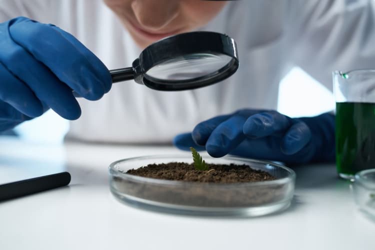 बिहार के इस जिले में खुलेंगी 18 मिनी मिट्टी टेस्ट लैब, किसानों को होंगे ये फायदे