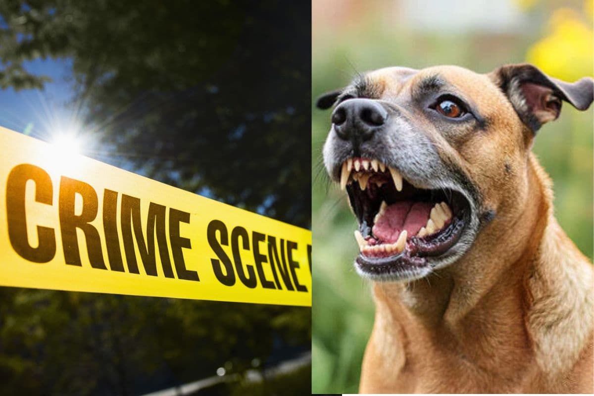 A cousin was shot in Patna after his dog barked
