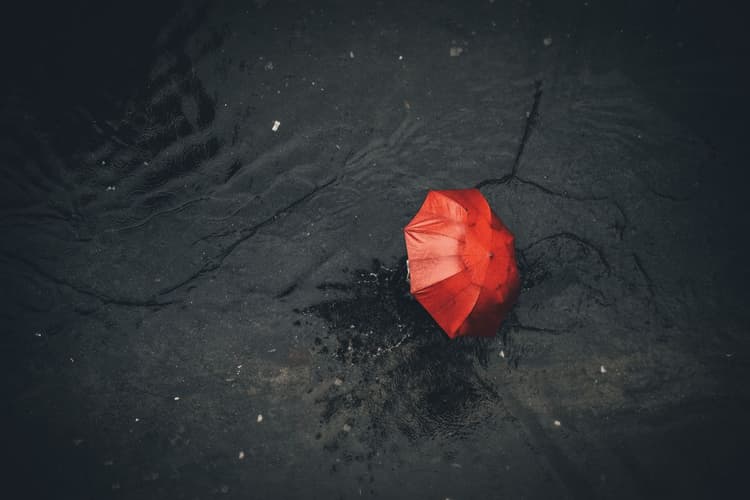 Jharkhand Weather: 19 सितंबर को गर्जन के साथ वर्षा-वज्रपात की चेतावनी, 40 किमी की रफ्तार से चल सकती हैं हवाएं