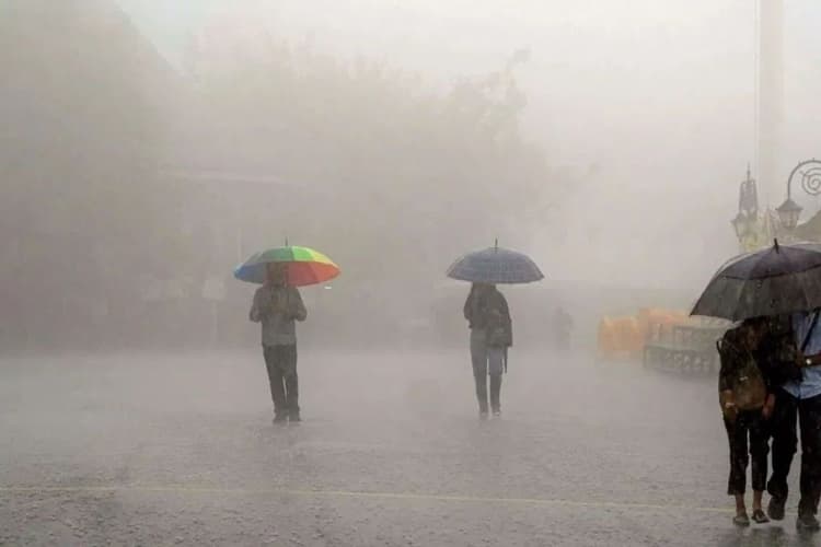 Bihar Rain Alert: बिहार के 6 जिलों में अगले 3 घंटे होगी भयंकर बारिश, IMD ने जारी किया येलो अलर्ट
