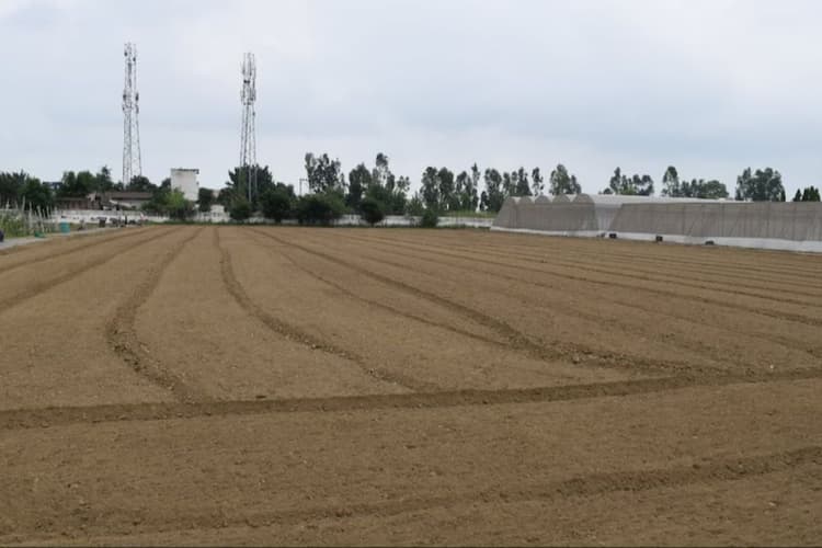 Bihar Bhumi: बिहार के इस जिले में जमीन अधिग्रहण करेगी सरकार, जानें क्या है तैयारी