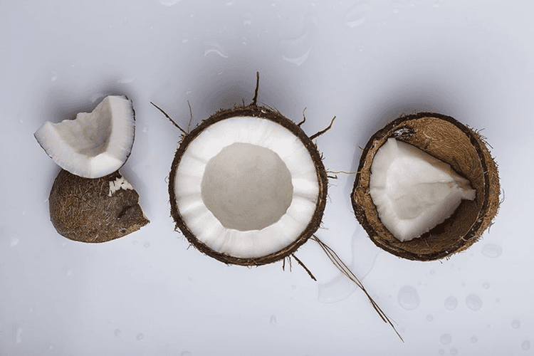 Coconut Benefits: खाली पेट नारियल खाने से शरीर को मिलते है कई फायदे