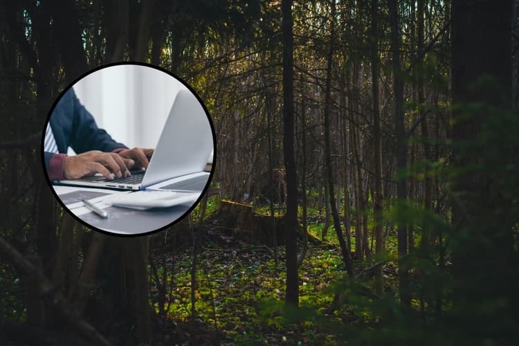 69000 Salary की सरकारी नौकरी यहां, 12वीं पास वाले फटाफट कर दें अप्लाई