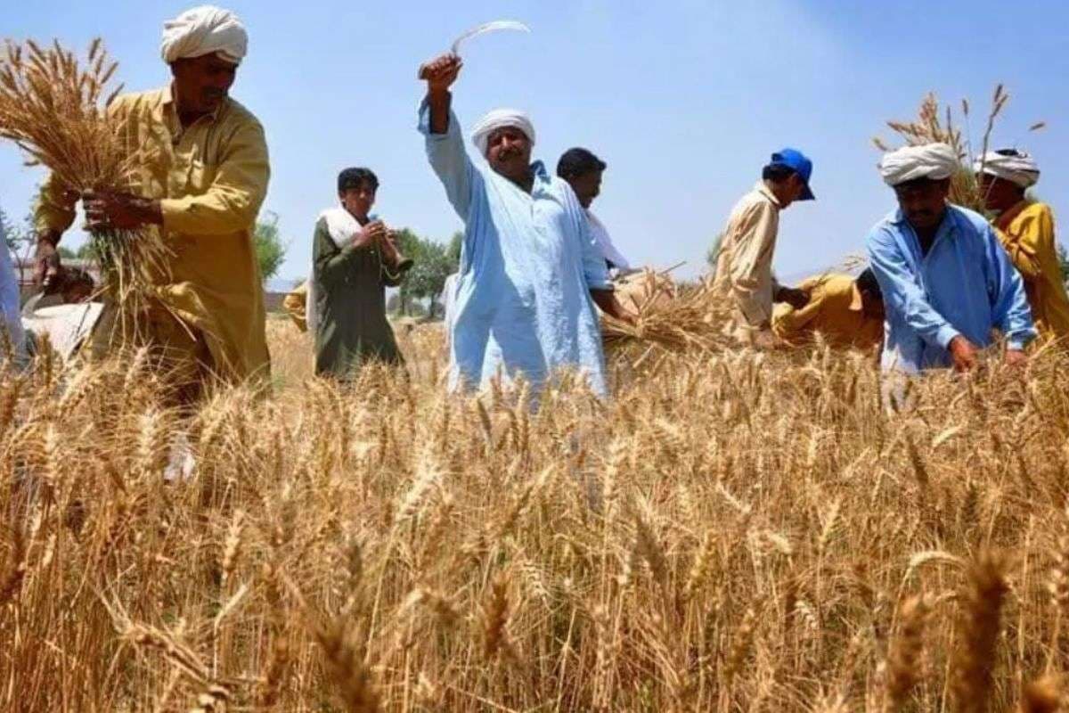 Darbhanga has been selected for PM Kisan scheme