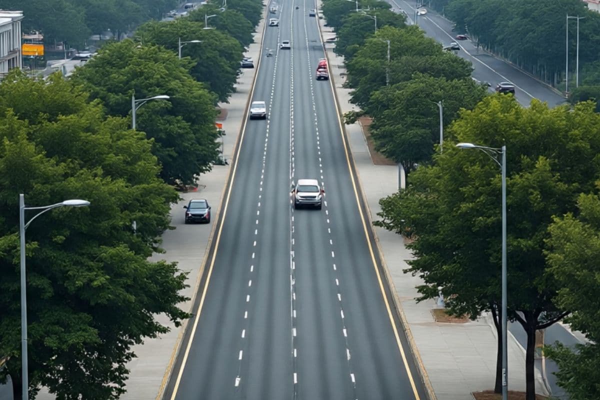 Expressway In Bihar Amas-Darbhanga road seven districts get benefit Expressway In Bihar Amas-Darbhanga road seven districts get benefit