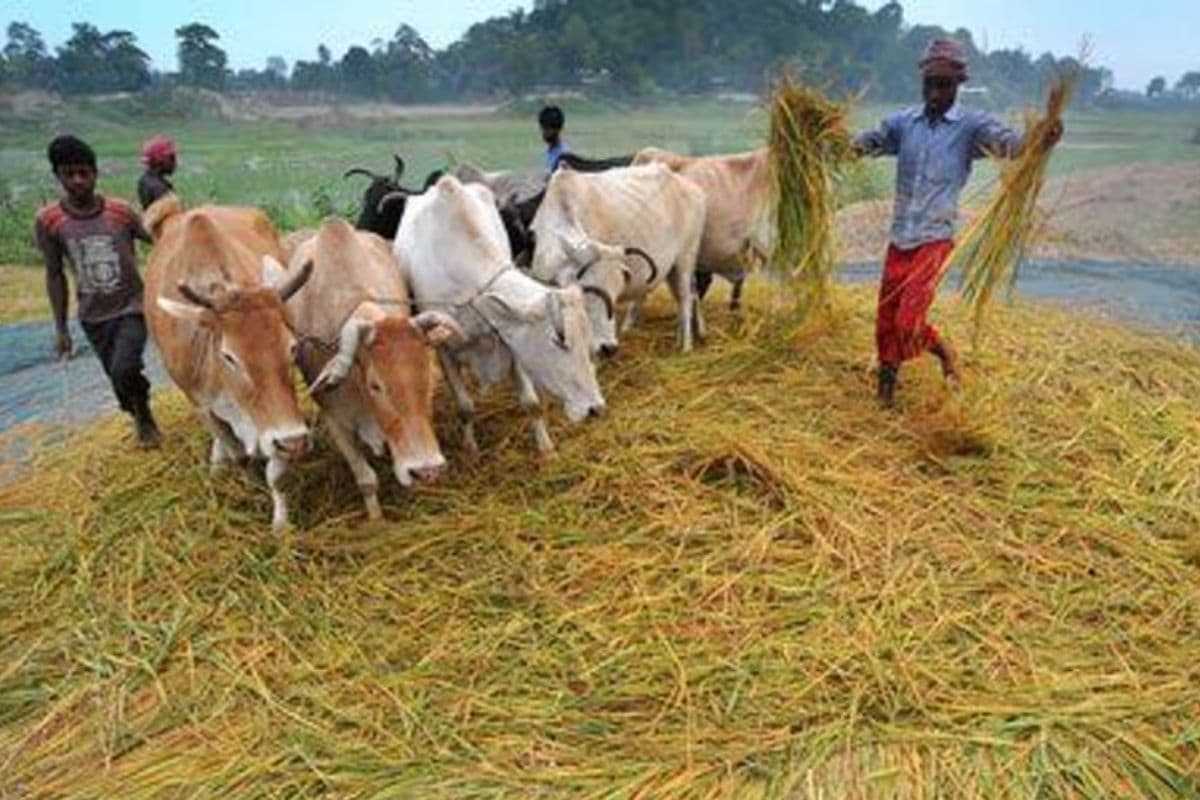 Livestock farmers will now get doorstep delivery