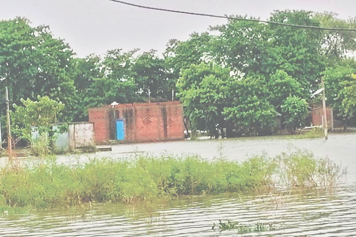 Flood News: तेजस्वी के विधानसभा में बाढ़ का कहर, फिर निचले इलाके में घुसा पानी, नाव की भी व्यवस्था नहीं