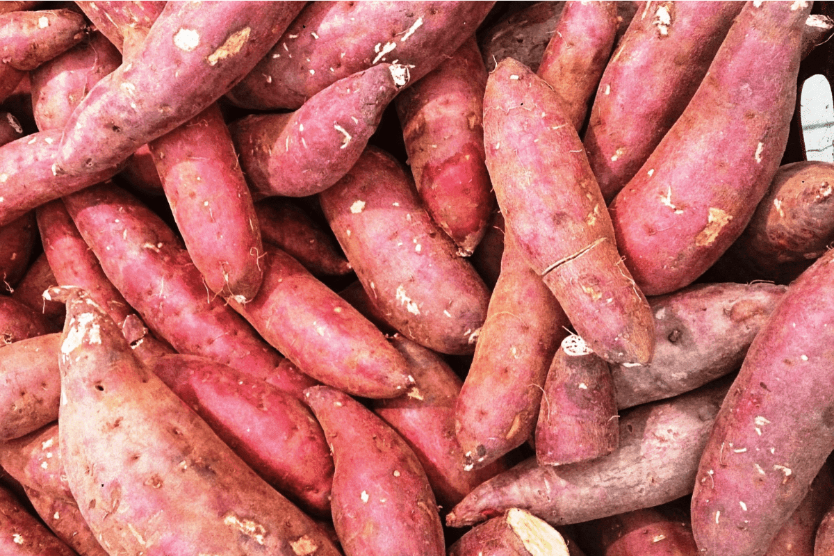 Sweet Potato Benefits Sweet Potato Benefits