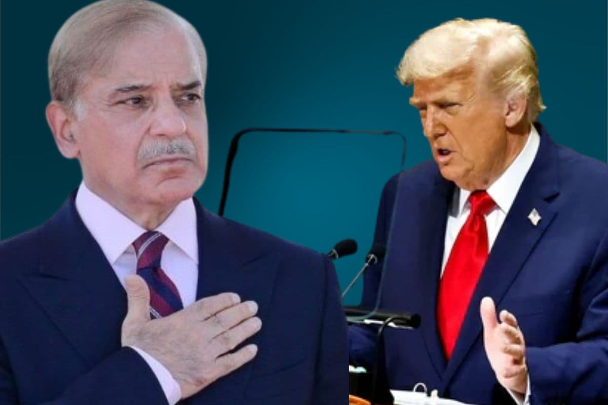 Trump Shehbaz Meeting tiktok deal US pakistan diplomacy