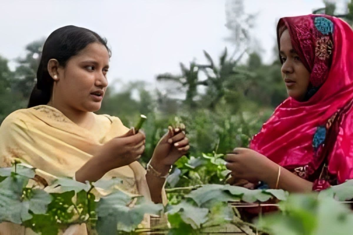 Natural Farming: चौबीस कृषि सखियों का संकल्प, पूर्णिया के खेतों में खिल उठेगी प्राकृतिक खेती