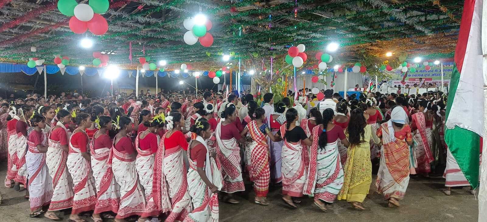 जिले में उत्साह से मना करम पर्व