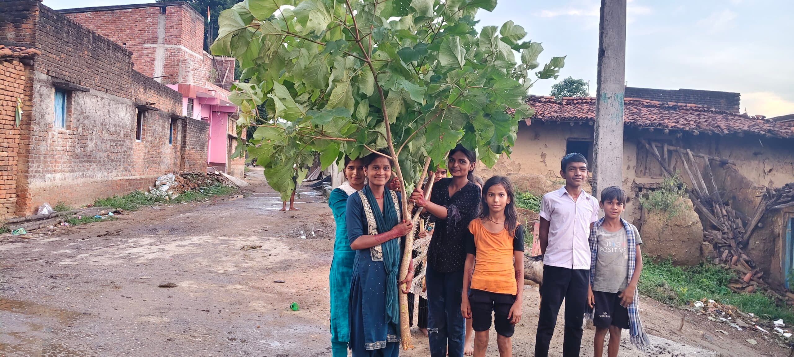 Giridih News: करमा पर्व को लेकर बाजारों में रही चहल-पहल, फलों की दुकानों में दिखी भीड़