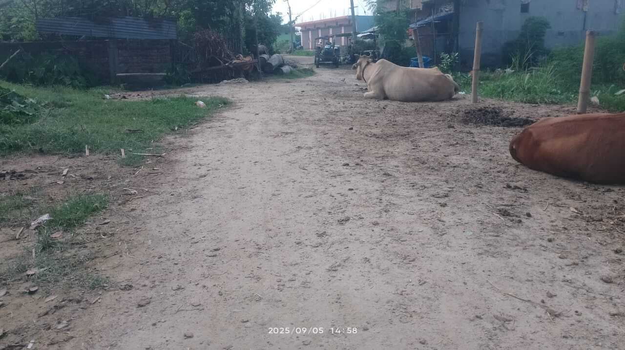 सड़क की मरम्मत कार्य अधूरा , लोगों में नाराजगी