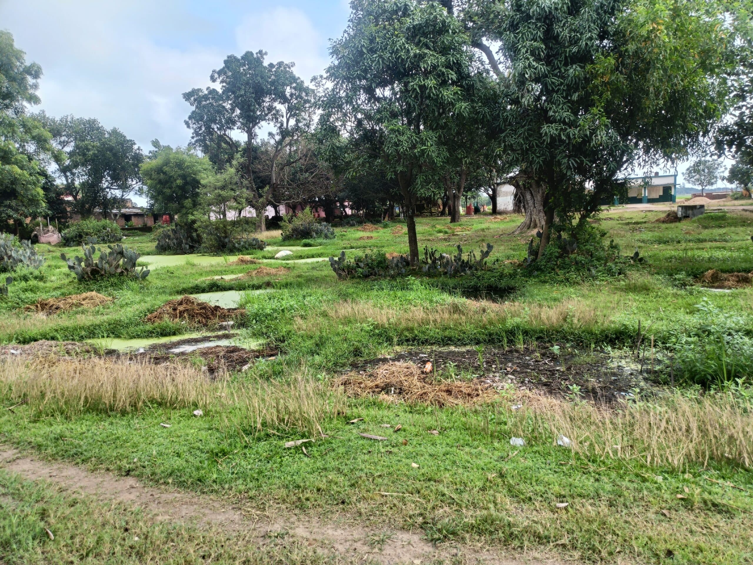 Giridih News :इकलौते मैदान में कर दिया पौधरोपण, जगह-जगह गड्ढा