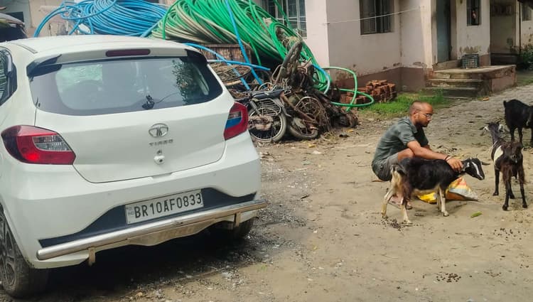 वाहन से चोरी की तीन बकरी जब्त, शातिर फरार