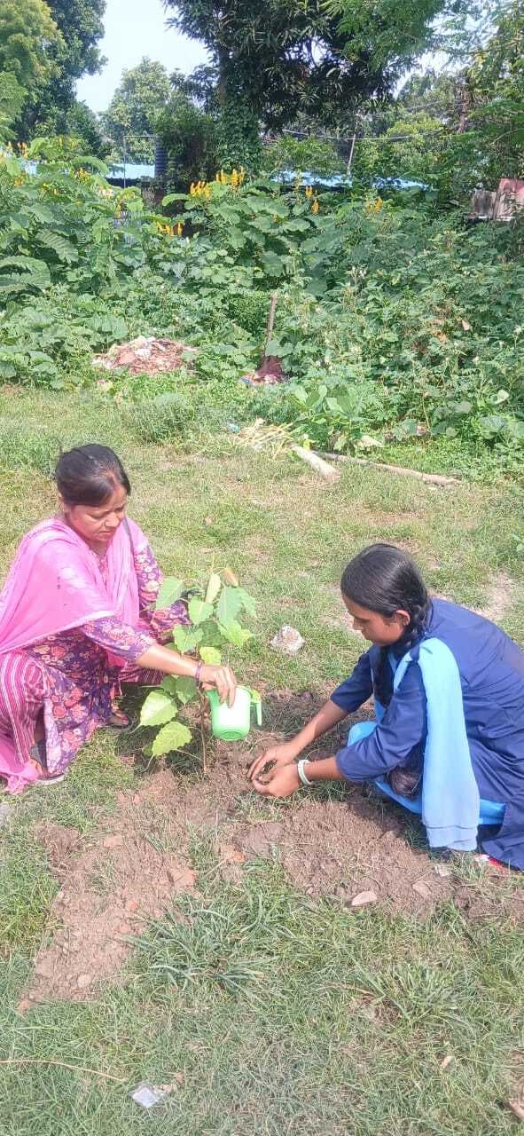 एक पेड़ मां के नाम पर किया पौधरोपण