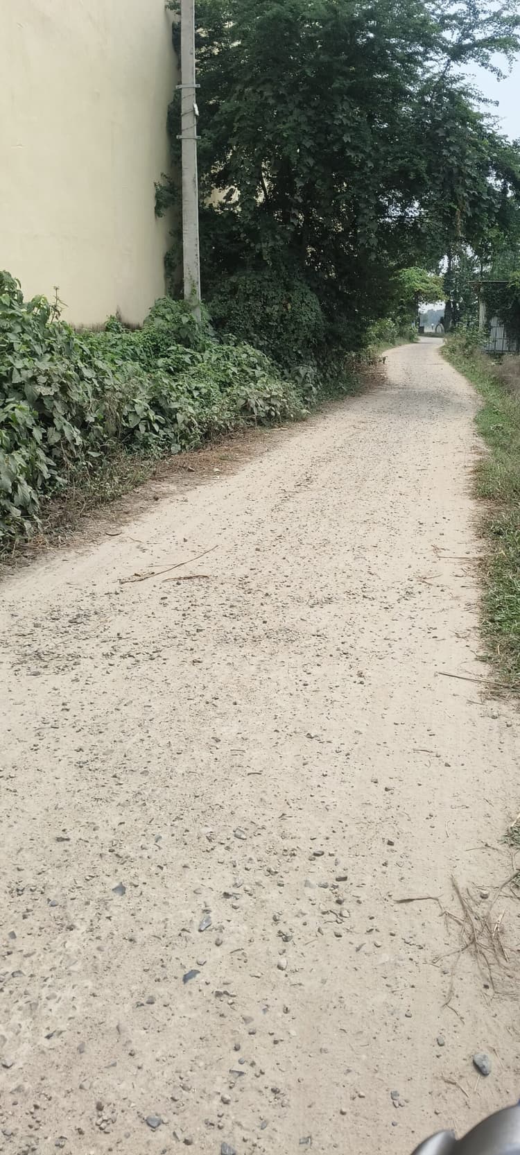 एक साल पहले बनी पीसीसी सड़क हुई जर्जर