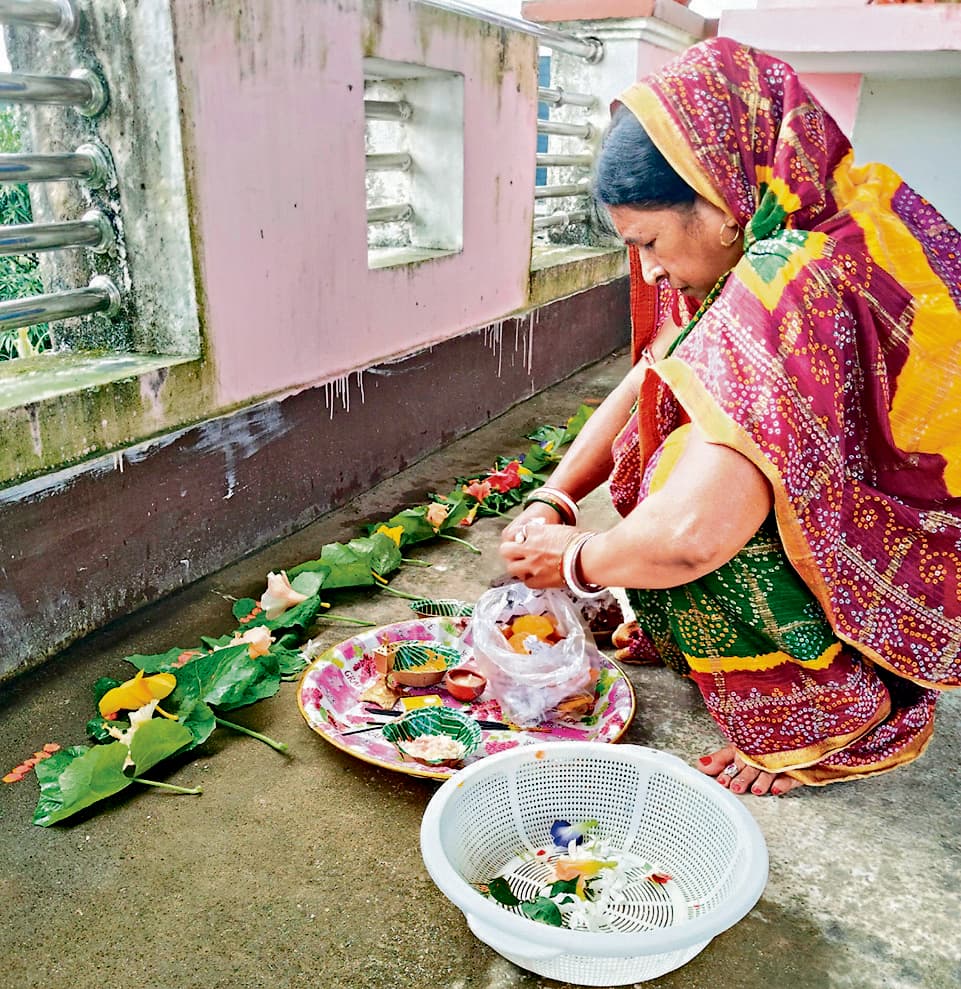 Chaibasa News : सतपुतिया झींगा 125 रुपये किलो बिका, फलों की रही मांग