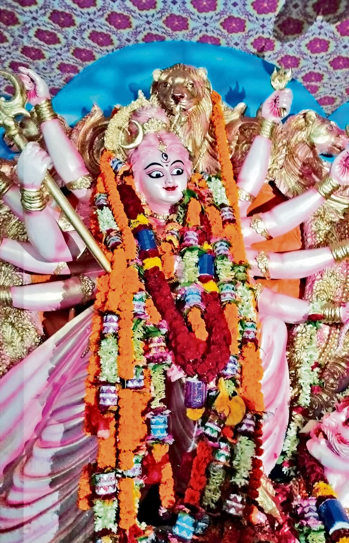 Chaibasa News : पूजन से विसर्जन तक दिखती है इतिहास की झलक