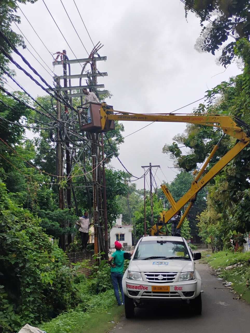 Samastipur News:वन विभाग लगा रहा पेड़ तो बिजली कंपनी है काटने को तत्पर