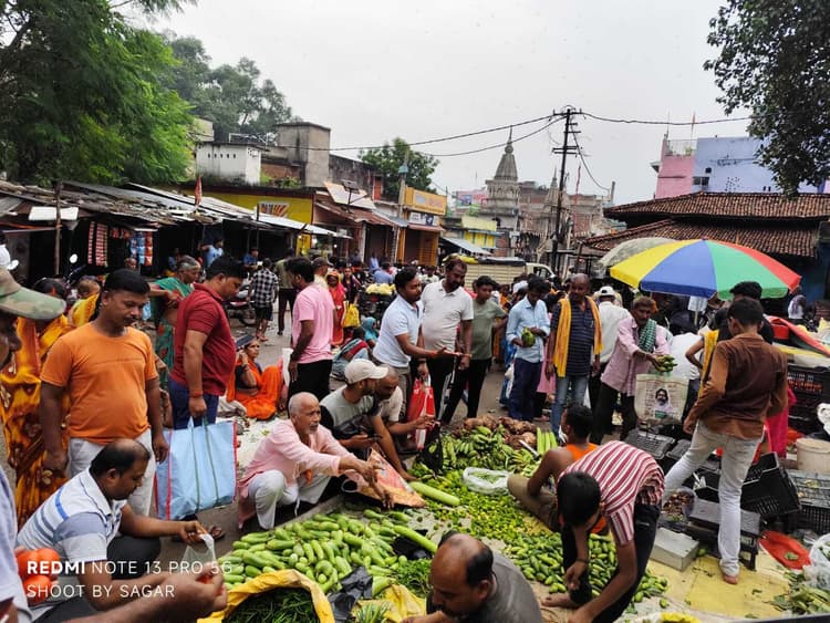 Giridih News :जिउतिया : 100 रुपये किलो तक बिका पोया साग
