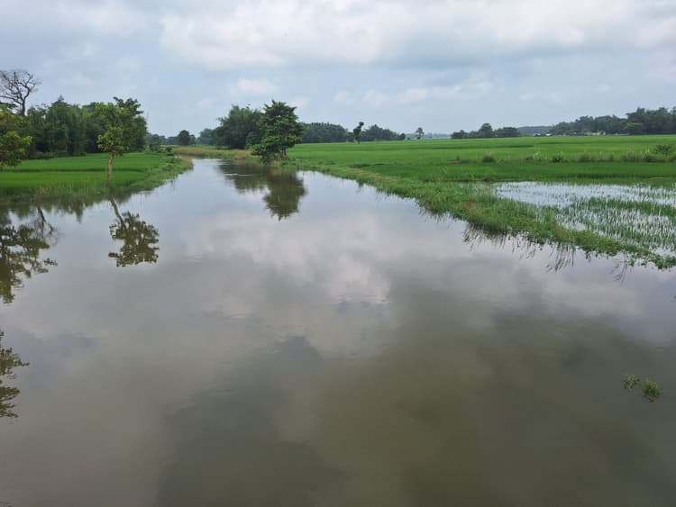 बारिश से नदियों के जलस्तर में वृद्धि