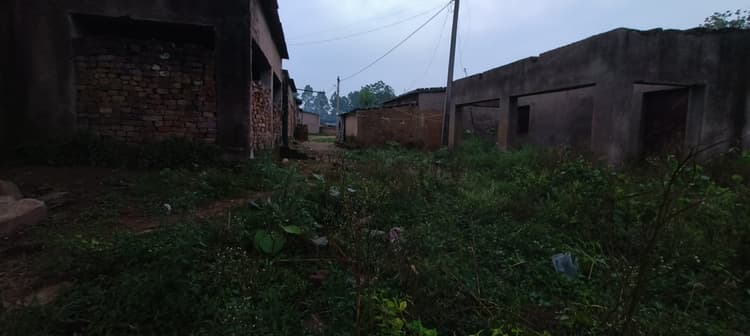 बिरहोर कॉलोनी में पसरी गंदगी व झाड़ियां