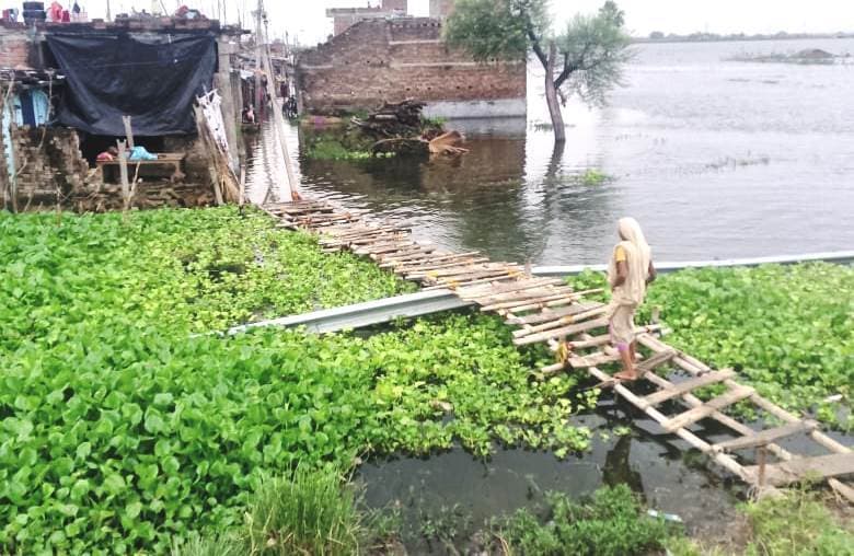 Bhagalpur news कोसी खतरे के निशान 29 सेंटीमीटर व गंगा 120 सेंटीमीटर ऊपर