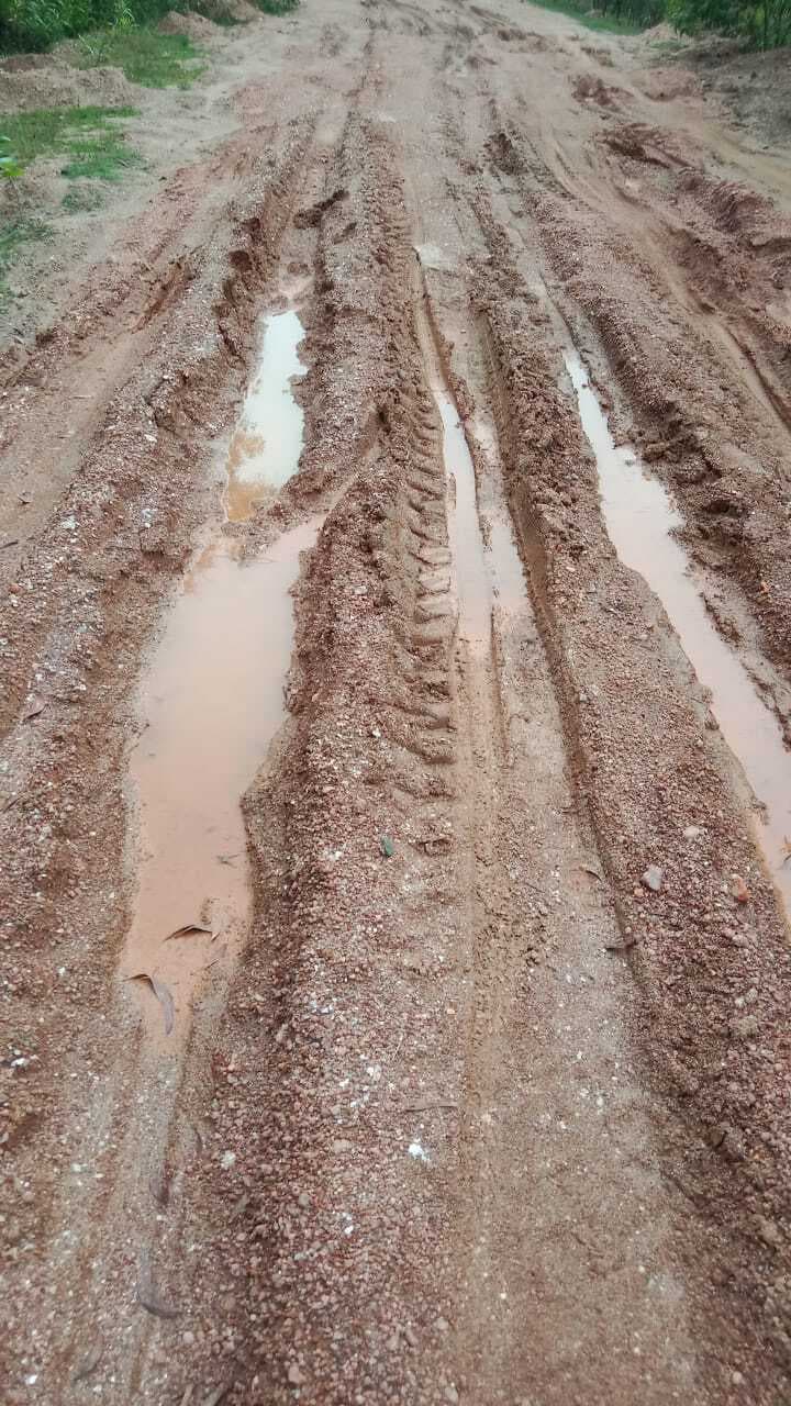 ग्रामीणों ने स्कूली बच्चों को कंधे पर बैठाकर पहुंचाया उनके घर