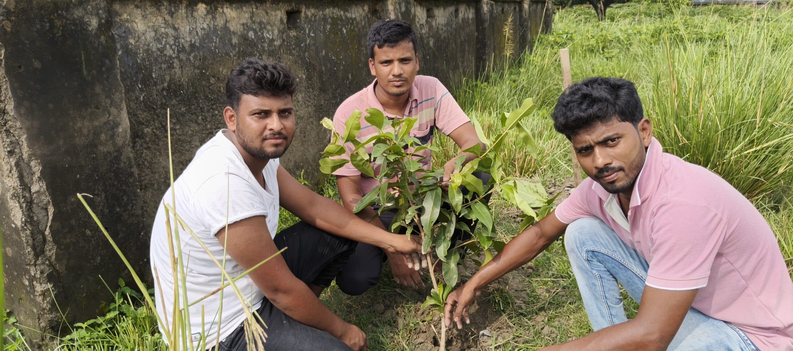 युवाओं ने लगाये सैंकड़ों फलदार पौधे