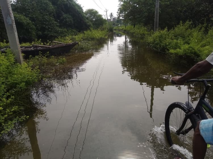 जलस्तर में कमी के बाद भी परेशानी नहीं हो रही कम, जलजमाव वाले गांवों में सड़ांध से लोग परेशान