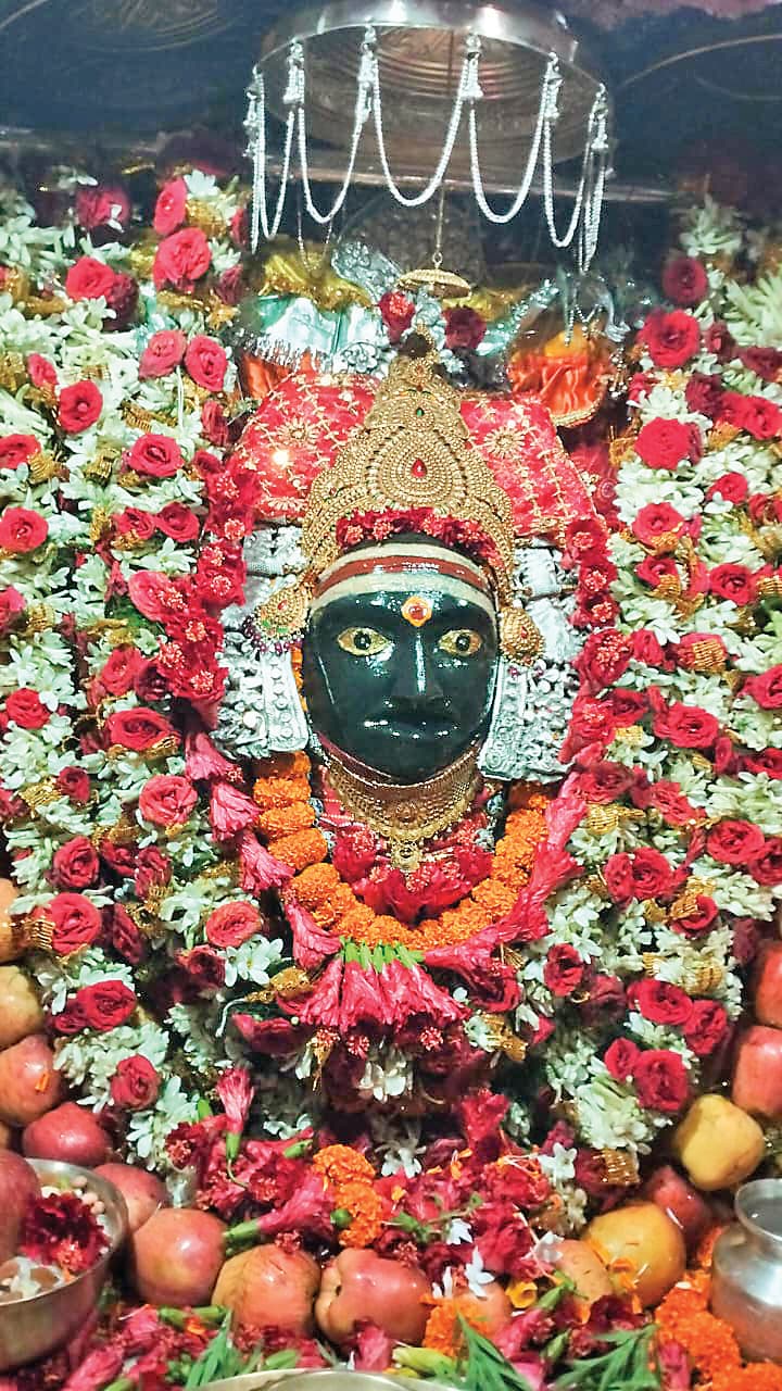 Gopalganj News : मां सिंहासनी की छवि देख निहाल हुए भक्त, लगे जयकारे