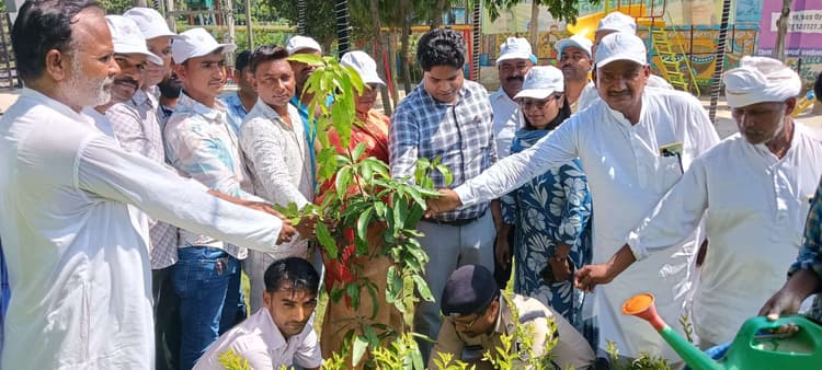 मीरगंज नगर पंचायत ने स्वच्छता व पर्यावरण सुरक्षा का दिया संदेश
