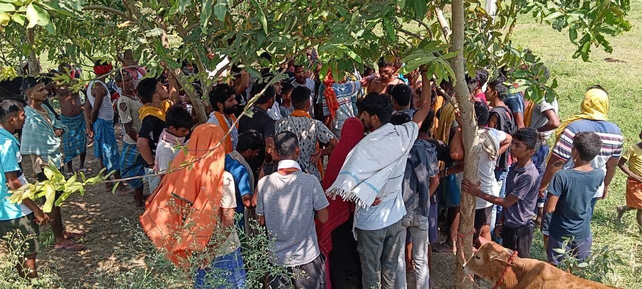 घास लाने घर निकले युवक ने बहियार में किया आत्महत्या